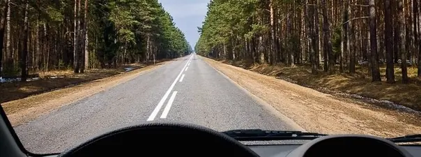 Билет 23, вопрос 9: дорожная ситуация